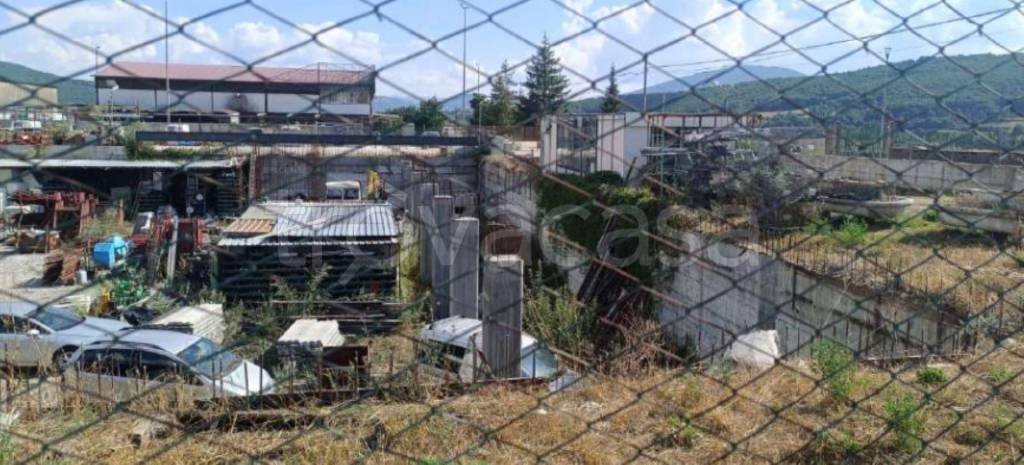 immagine annuncio 5 di 12