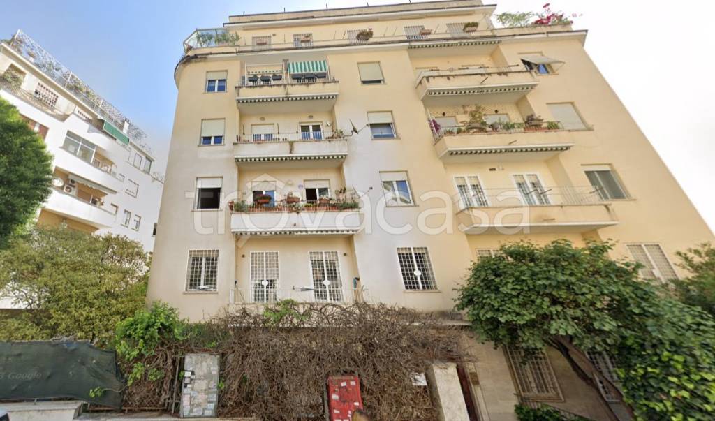 immagine annuncio 3 di 13