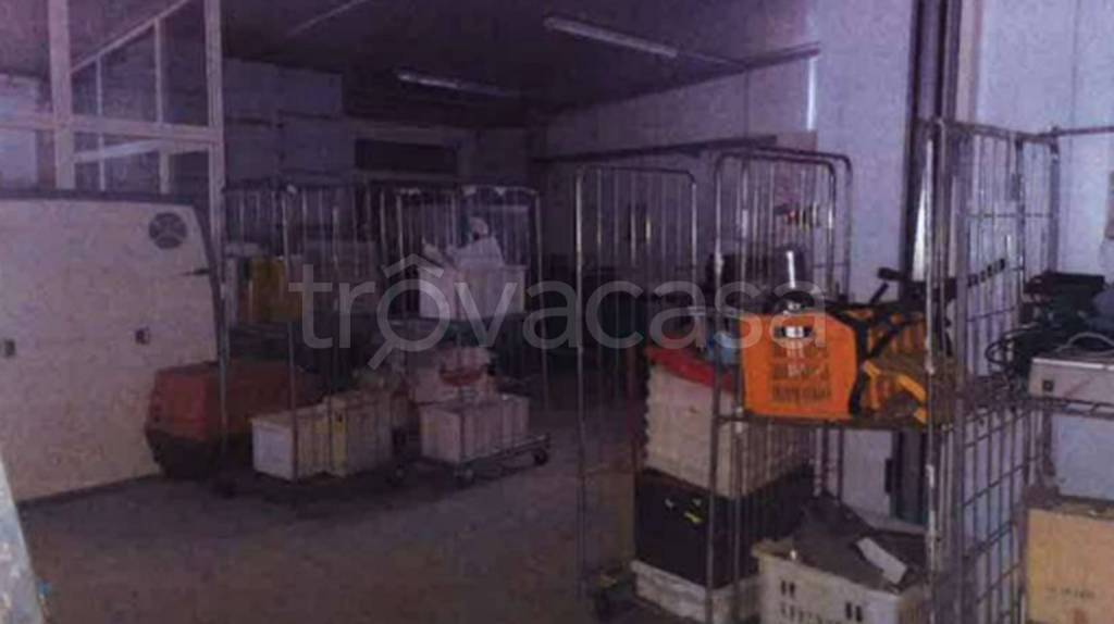 immagine annuncio 6 di 11