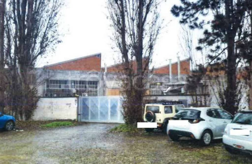 immagine annuncio 7 di 11