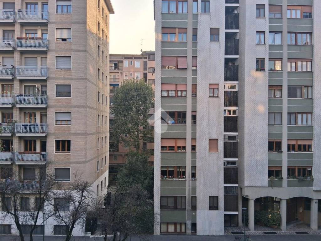 immagine annuncio 9 di 12