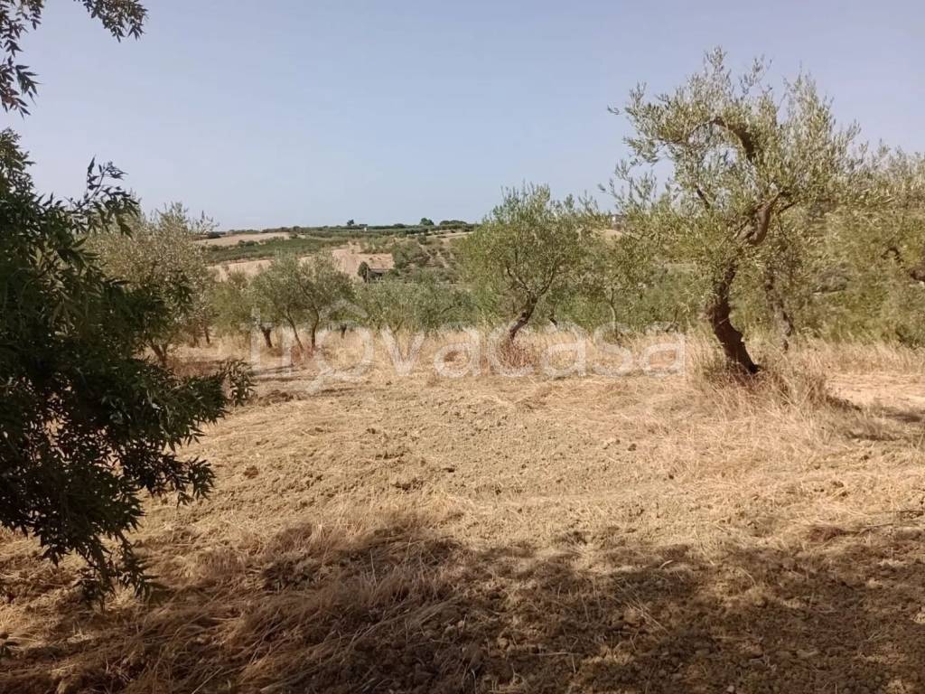 immagine annuncio 5 di 11