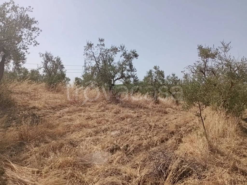 immagine annuncio 6 di 11