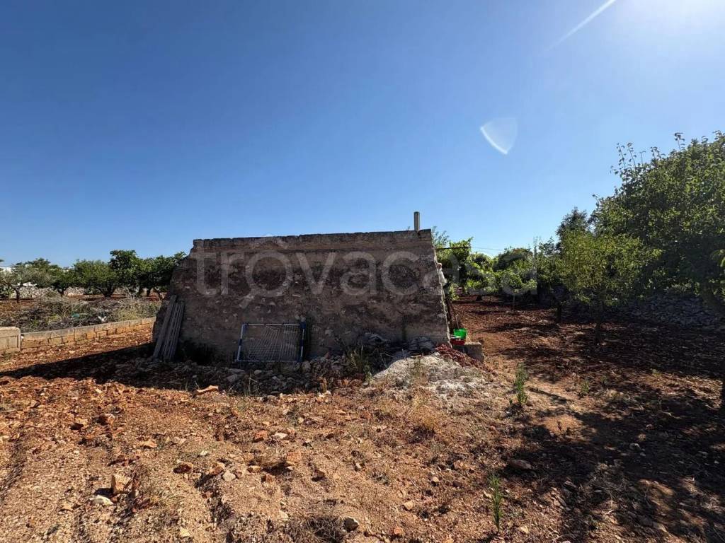 immagine annuncio 8 di 11