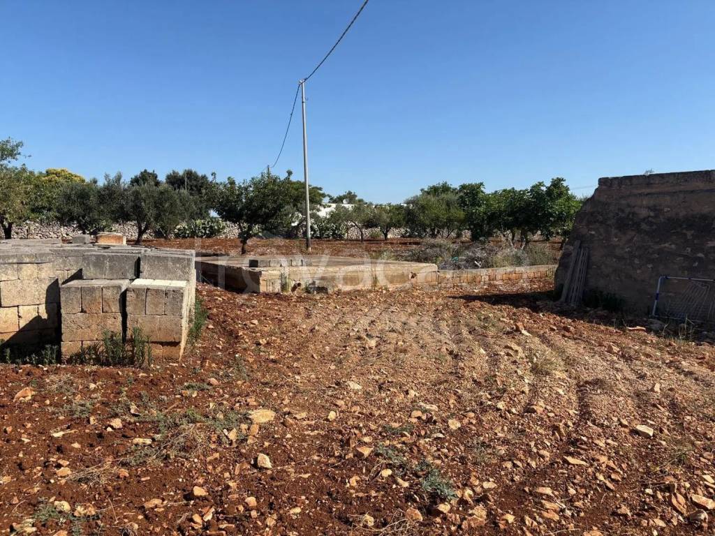 immagine annuncio 9 di 11