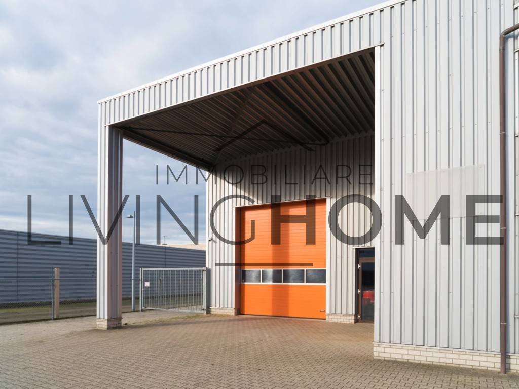 immagine annuncio 1 di 6