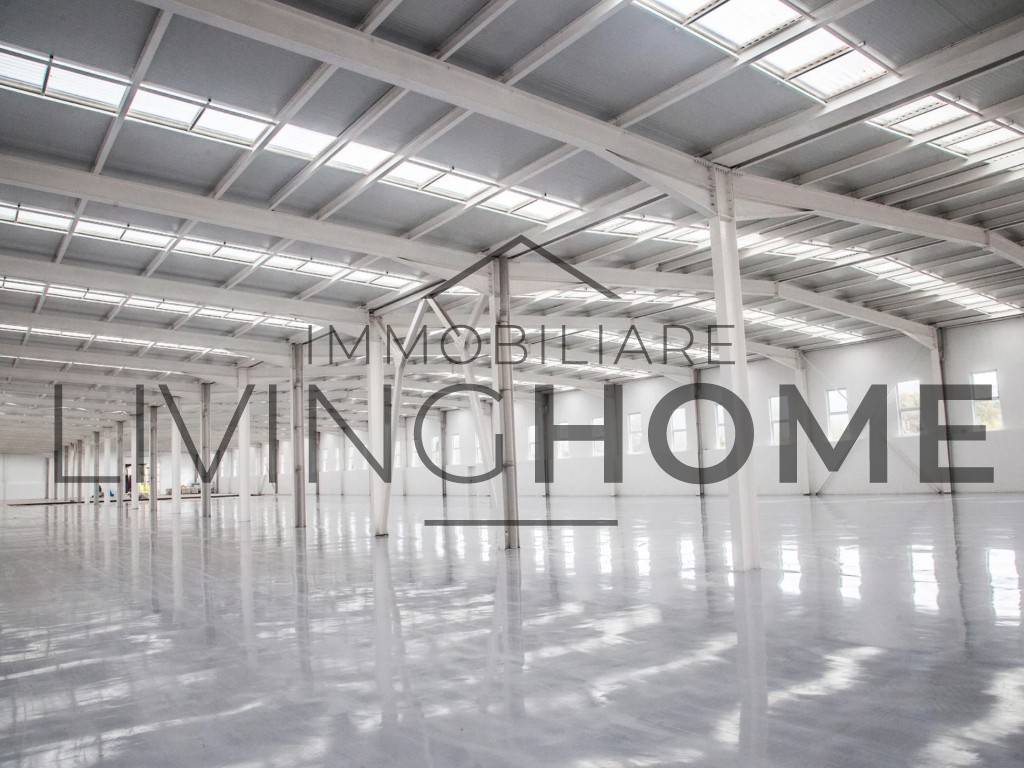 immagine annuncio 2 di 6