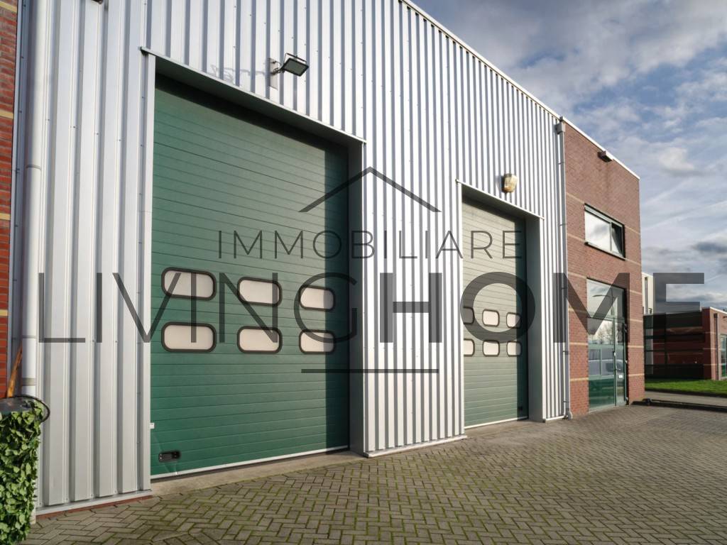 immagine annuncio 4 di 6