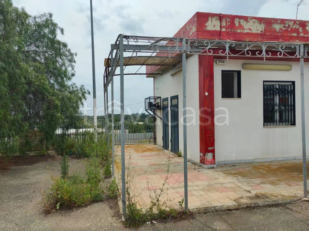 immagine annuncio 2 di 13