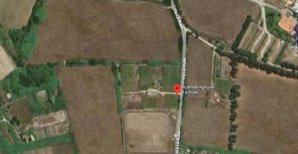 immagine annuncio 2 di 11