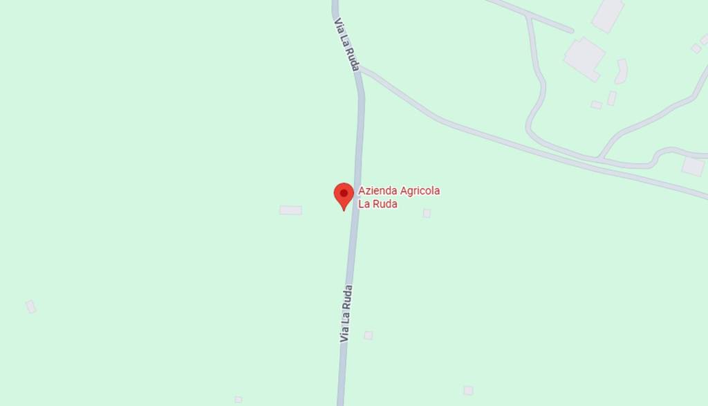 immagine annuncio 6 di 11