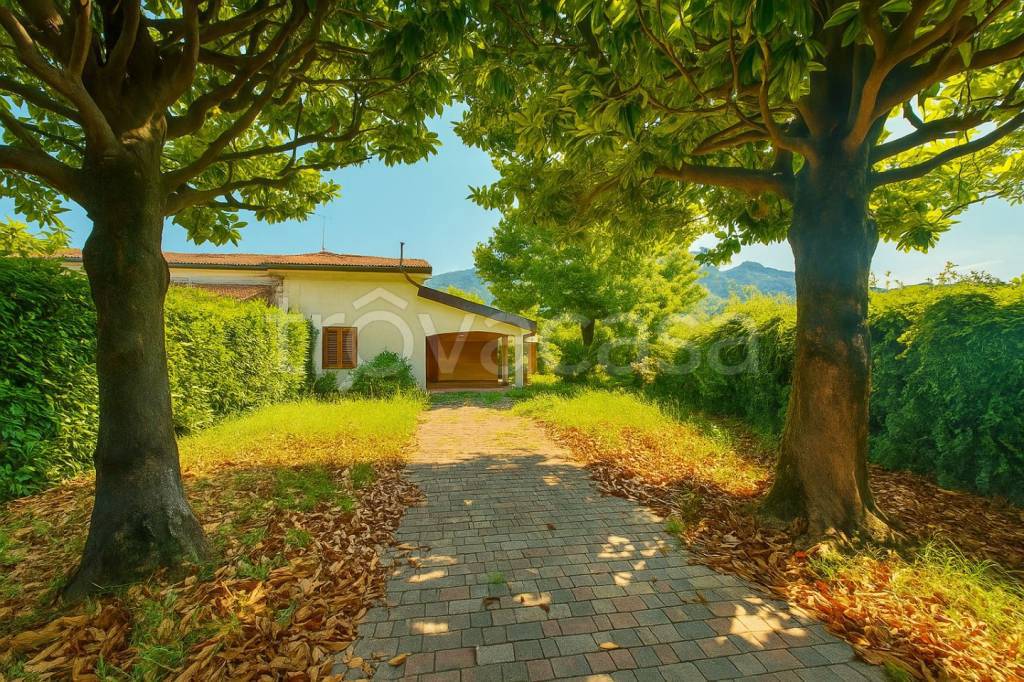 casa indipendente in vendita a Pietrasanta in zona Marina di Pietrasanta
