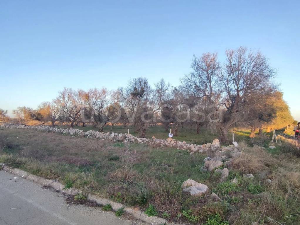 immagine annuncio 1 di 6