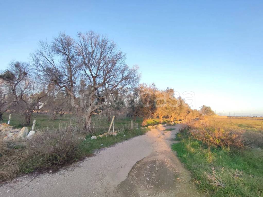 immagine annuncio 2 di 6