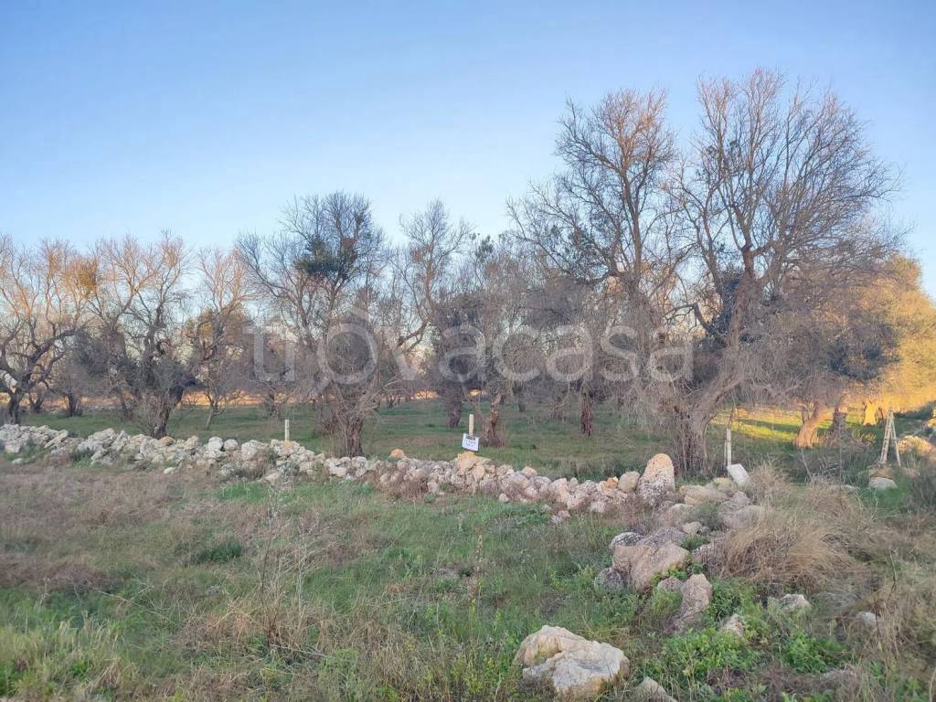 immagine annuncio 4 di 6