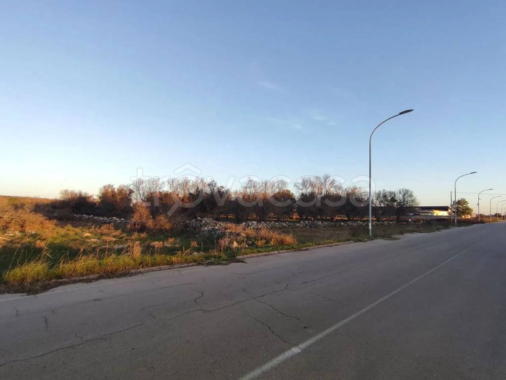 immagine annuncio 5 di 6