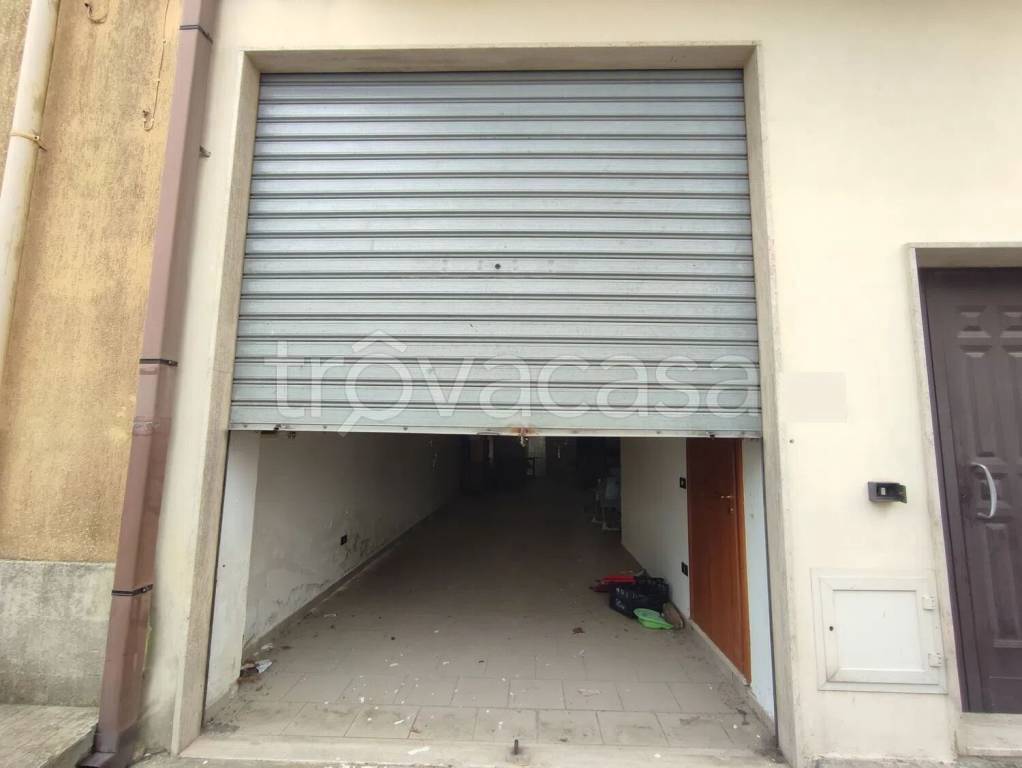 immagine annuncio 4 di 6