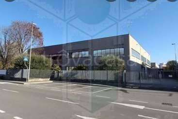 immagine annuncio 2 di 7