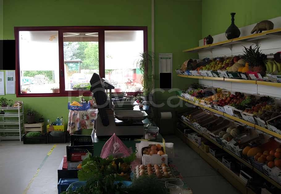 immagine annuncio 5 di 7