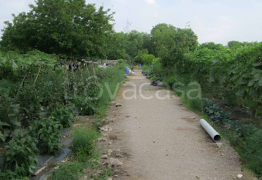 immagine annuncio 6 di 7