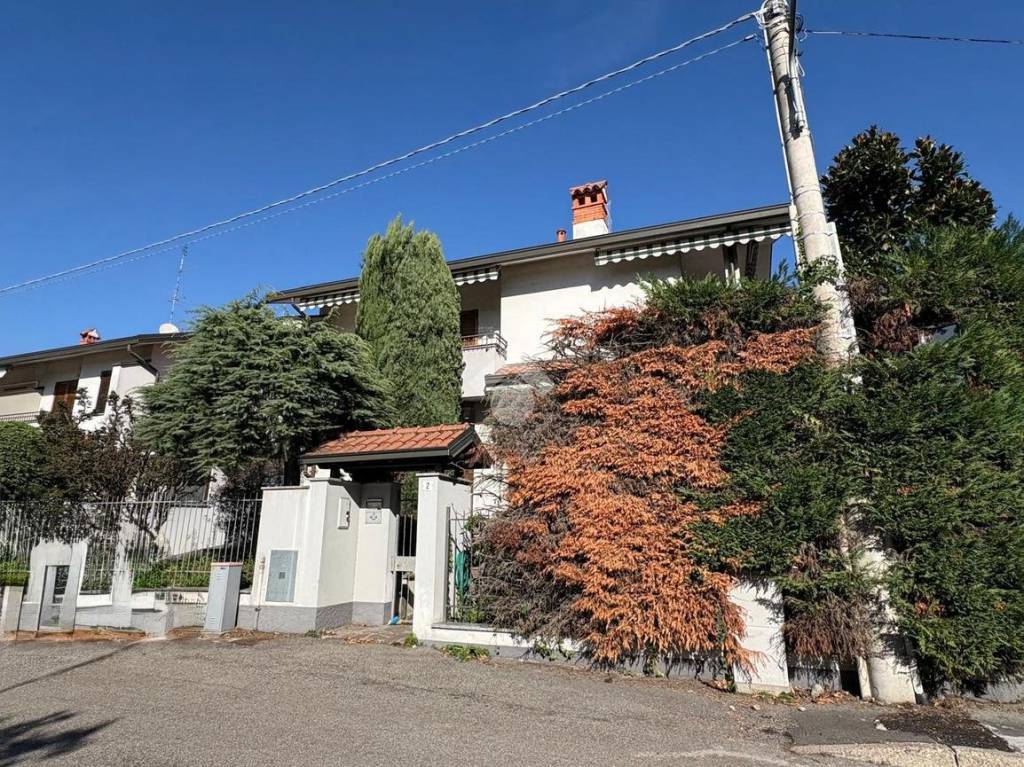 immagine annuncio 12 di 15