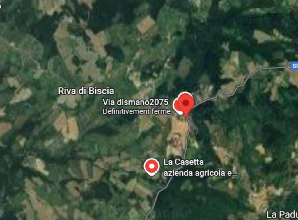 immagine annuncio 7 di 12