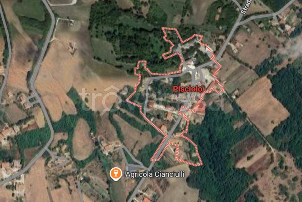 immagine annuncio 10 di 12