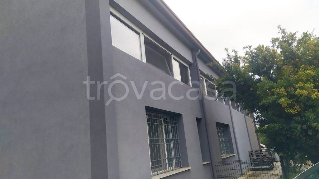 immagine annuncio 3 di 12