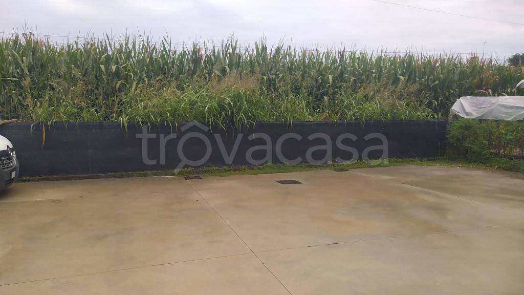 immagine annuncio 9 di 12