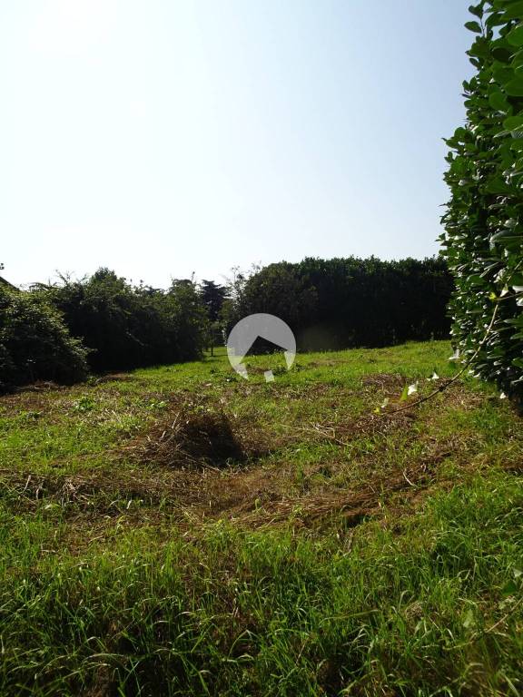 immagine annuncio 3 di 13