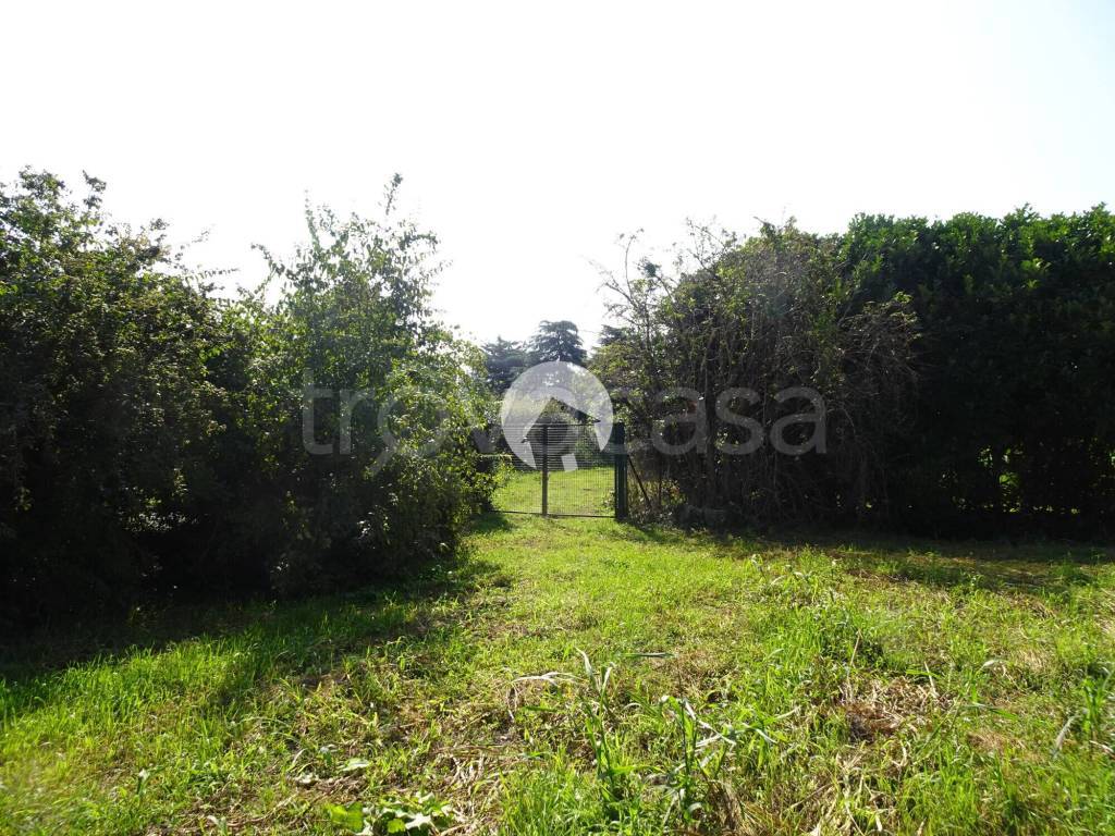 immagine annuncio 10 di 13