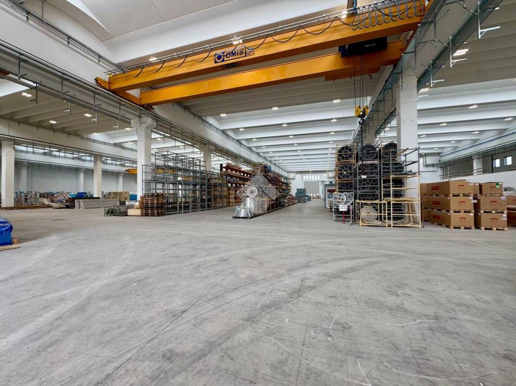 immagine annuncio 9 di 15