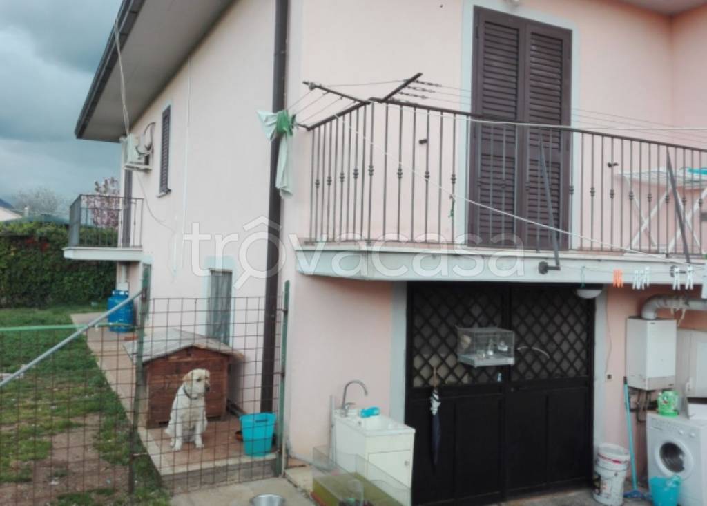 immagine annuncio 3 di 12