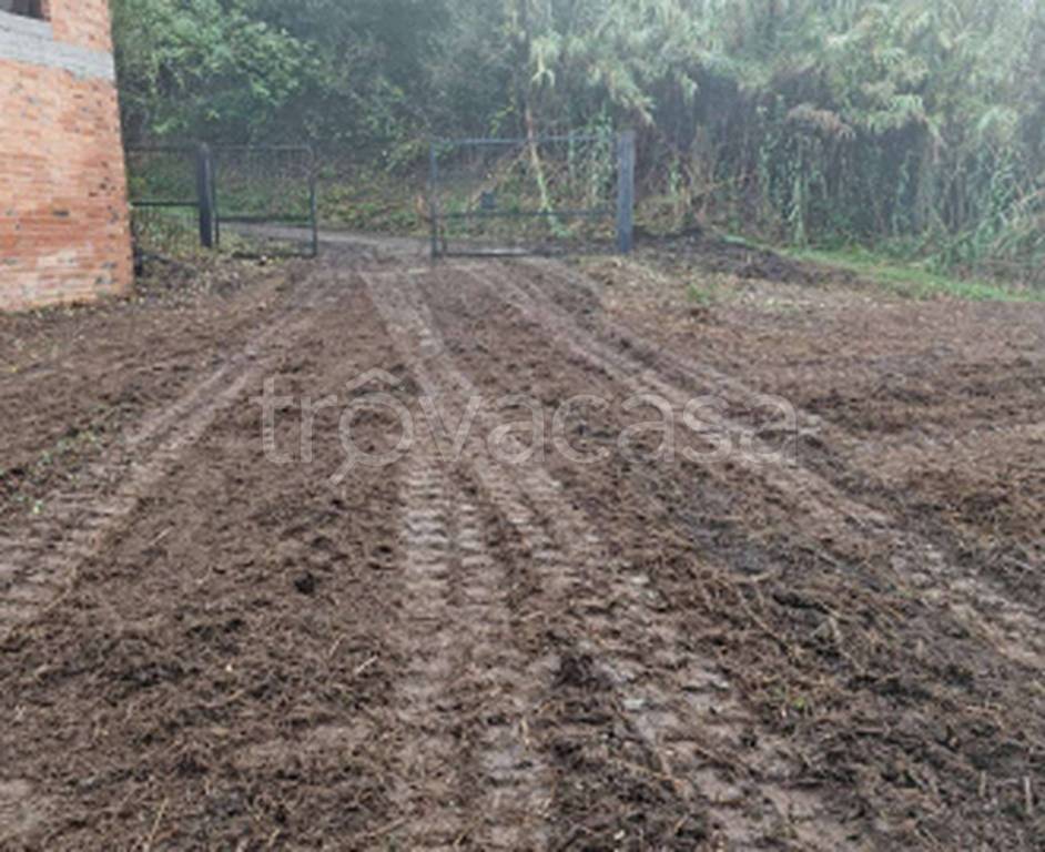 immagine annuncio 6 di 9