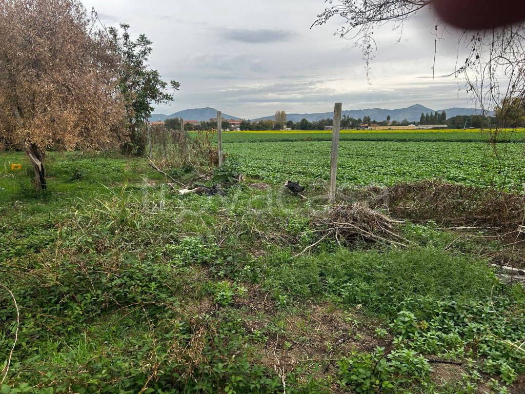 immagine annuncio 1 di 6