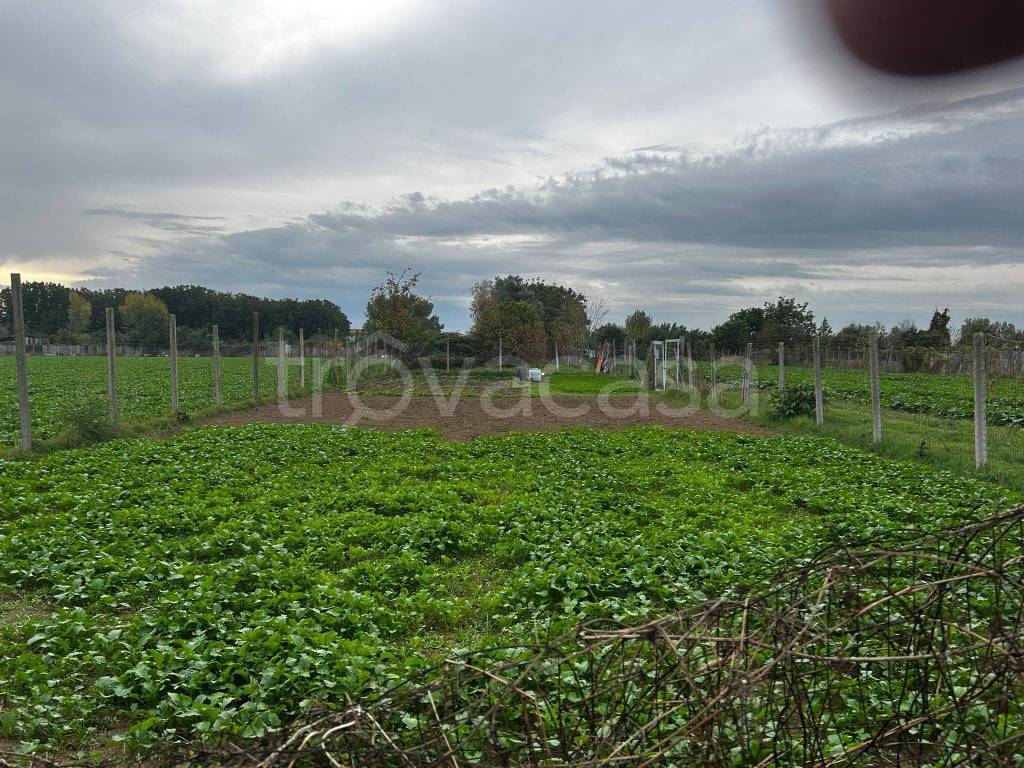 immagine annuncio 2 di 6