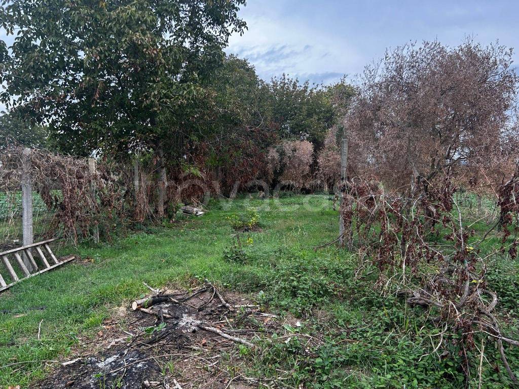 immagine annuncio 4 di 6