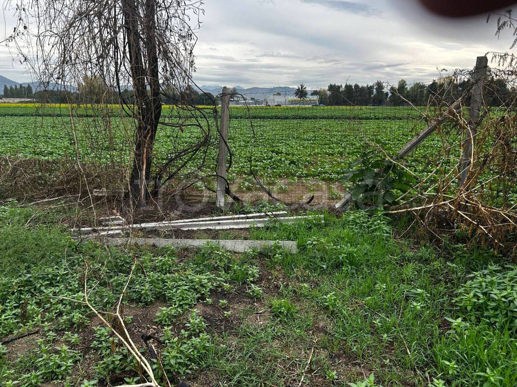 immagine annuncio 5 di 6