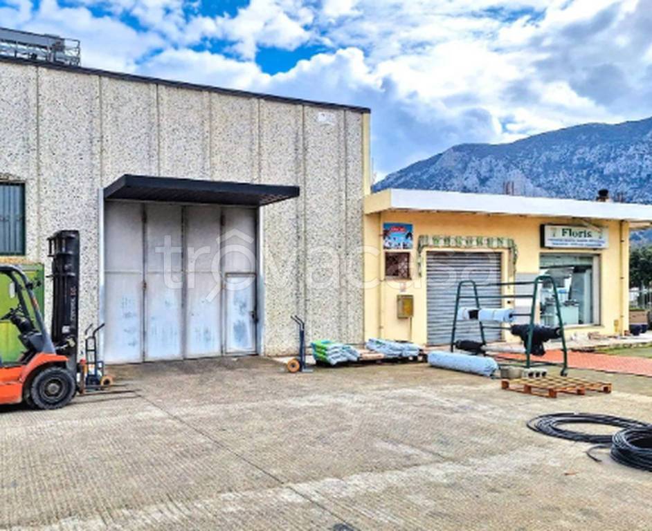 immagine annuncio 5 di 14