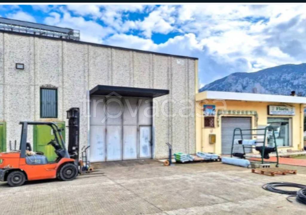 immagine annuncio 8 di 14