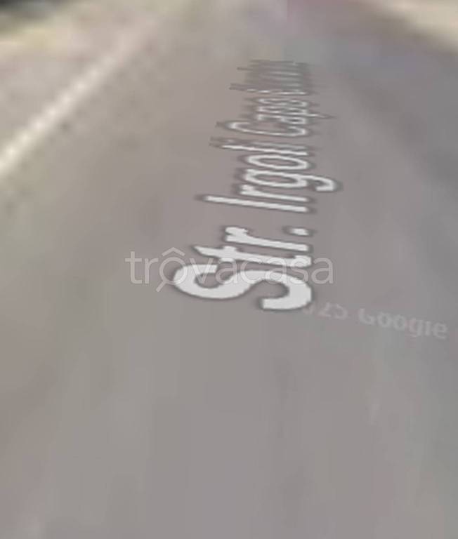 immagine annuncio 11 di 14