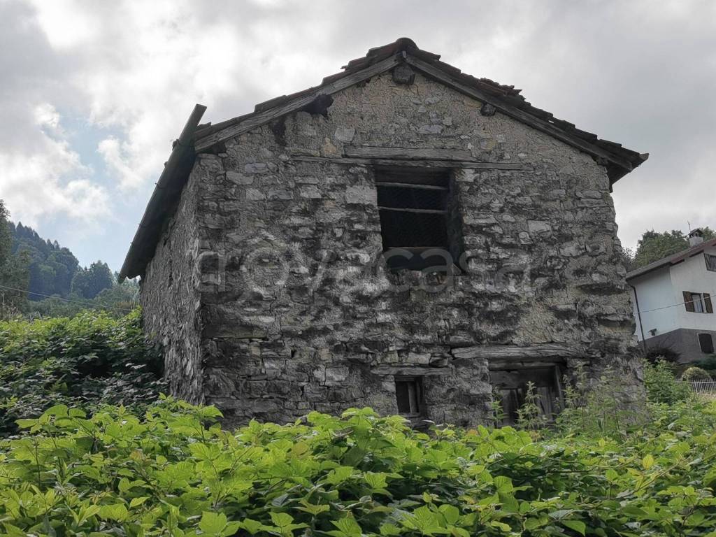 immagine annuncio 4 di 6