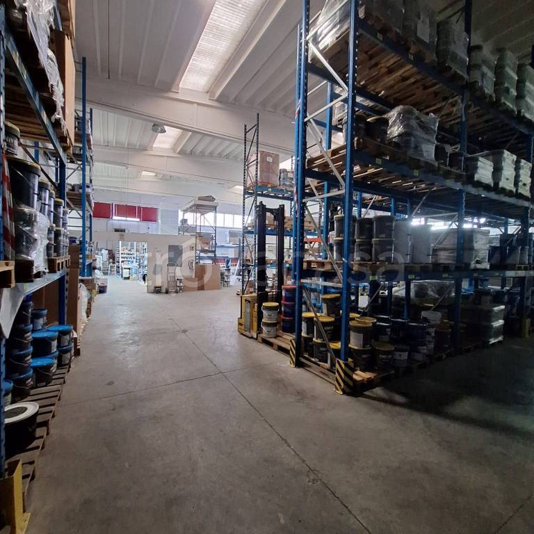 immagine annuncio 8 di 15