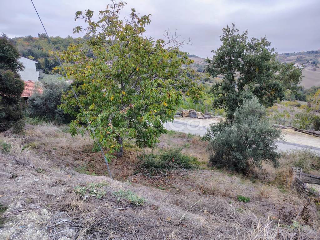 immagine annuncio 7 di 8