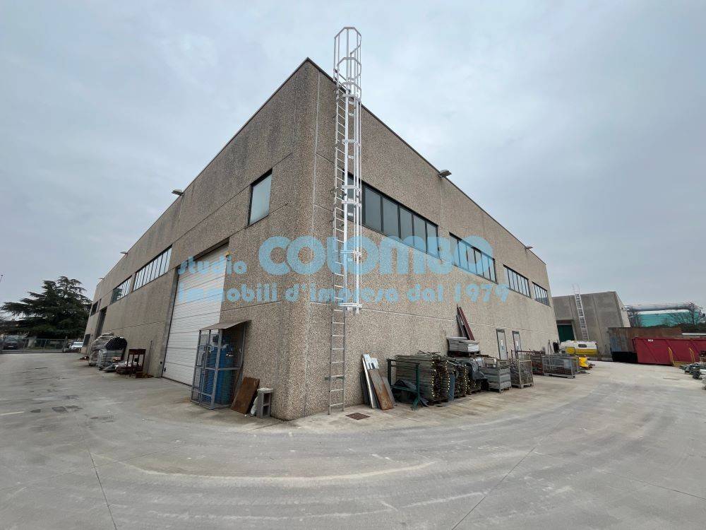 immagine annuncio 2 di 15