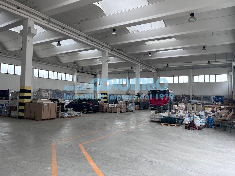 immagine annuncio 6 di 15