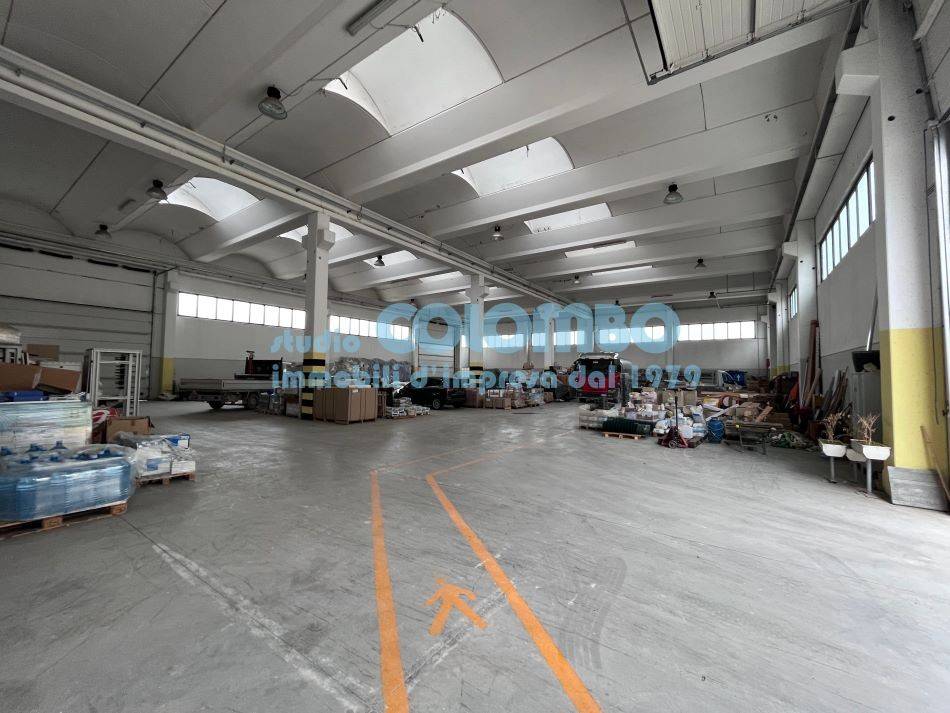 immagine annuncio 8 di 15