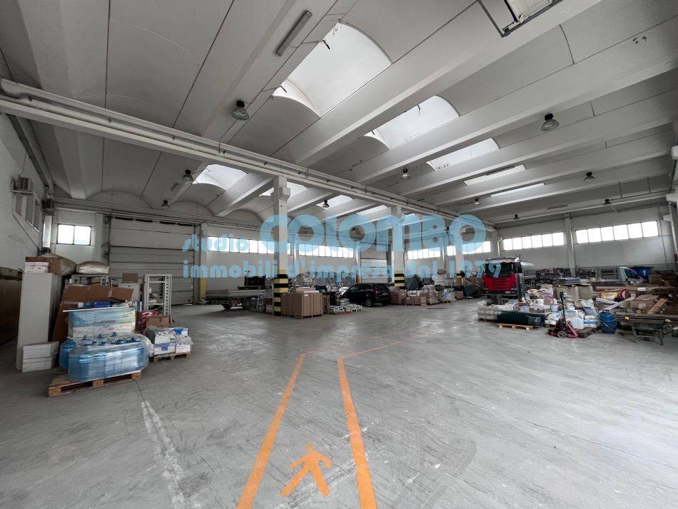 immagine annuncio 12 di 15