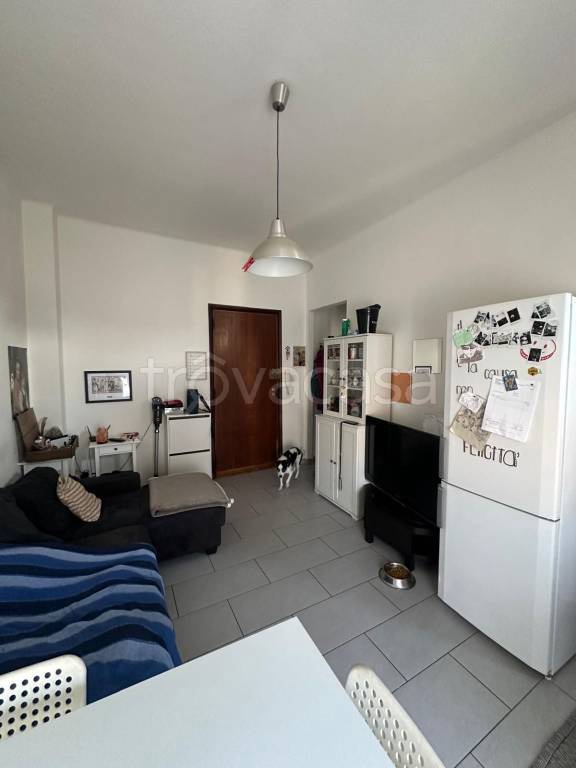 immagine annuncio 7 di 14