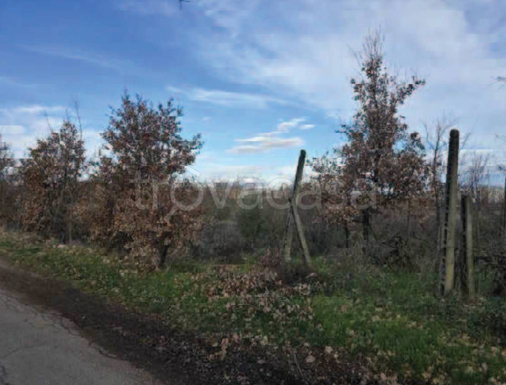 immagine annuncio 8 di 14